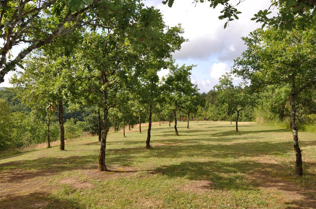 מלון Murat Domaine De La Greze מראה חיצוני תמונה